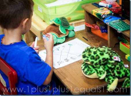Pond Life Theme Kindergarten