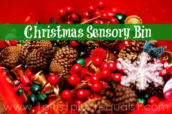 Christmas Sensory Bin
