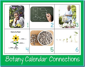 Calendar Connections Botany