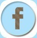 Facebook-Button-1plus1plus11922 Facebook-Button-1plus1plus11922