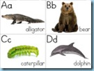 Animal ABC Flashcards 3