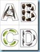 Animal ABC Flashcards 4
