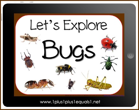 Bugs eBook Cover Bugs eBook Cover
