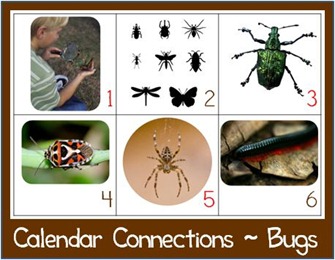 Calendar Connections Bugs Calendar Connections Bugs
