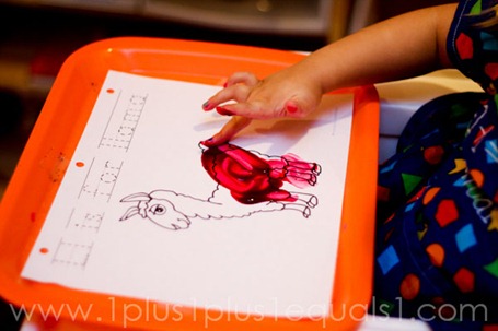 IMG_6877 IMG_6877