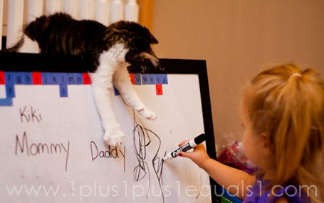 IMG_6928 IMG_6928
