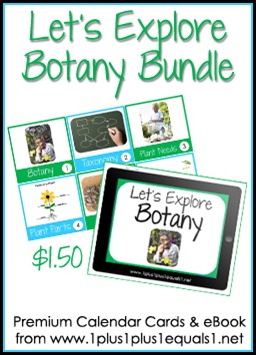 Let's Explore Botany Button Let's Explore Botany Button
