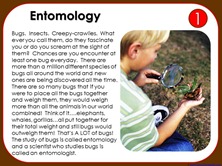 Let's Explore Bugs1 Let's Explore Bugs1