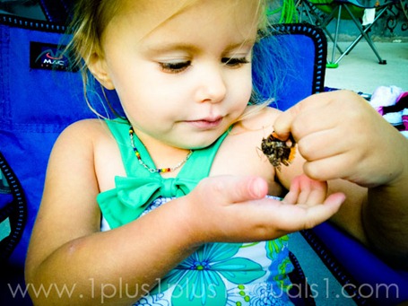 IMG_0365 IMG_0365