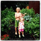 IMG_1542 IMG_1542