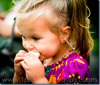 Yummy Marshmallow Yummy Marshmallow