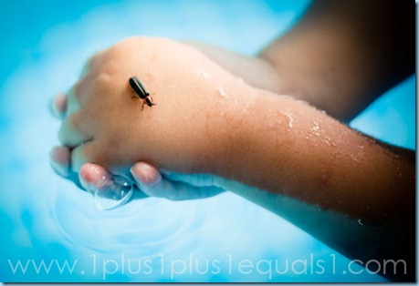 IMG_8033 IMG_8033