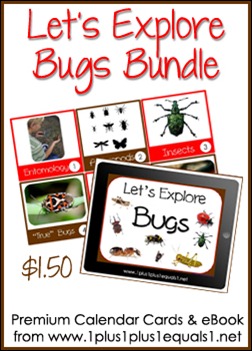 Let's Explore Bugs Button Let's Explore Bugs Button