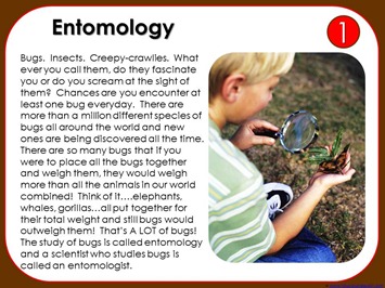 Entomology Entomology