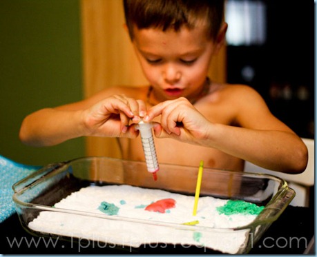 Homeschool -8467