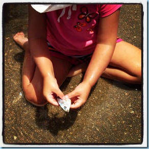 IMG_2764 IMG_2764