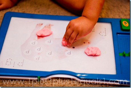 IMG_8195 IMG_8195