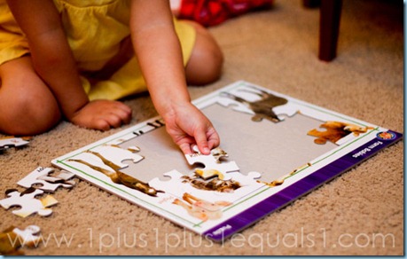 IMG_8225 IMG_8225