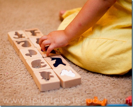 IMG_8227 IMG_8227