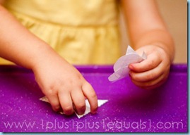 IMG_8237 IMG_8237