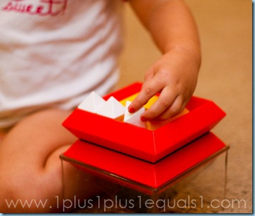 IMG_8390 IMG_8390