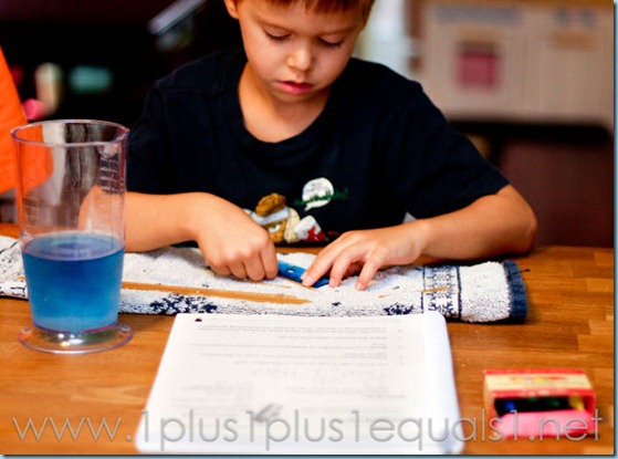 1st Grade Science