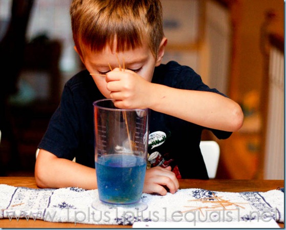 1st Grade Science