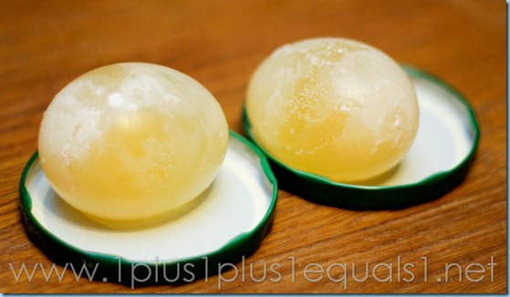 Egg Experiment