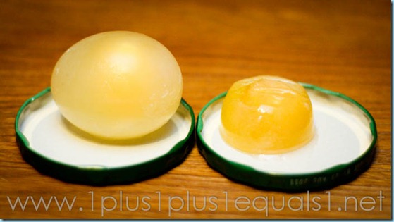Egg Experiment