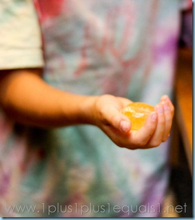 Egg Experiment