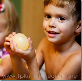 Egg Experiment