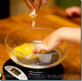 Egg Experiment
