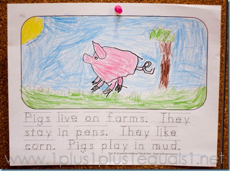 Draw Write Now Pig
