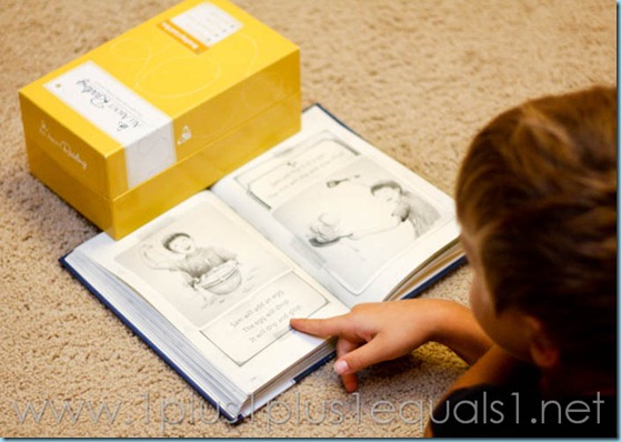 All About Reading-2182