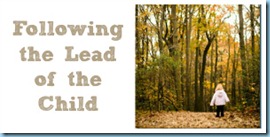 Following the Lead of the Child Following the Lead of the Child