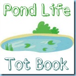 Pond Tot Book Pond Tot Book