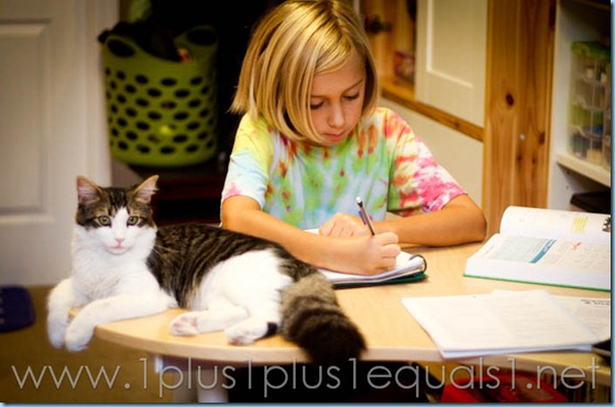 Homeschool-2379