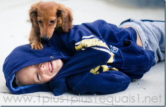 New Puppy-2642