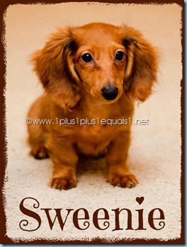 Sweenie