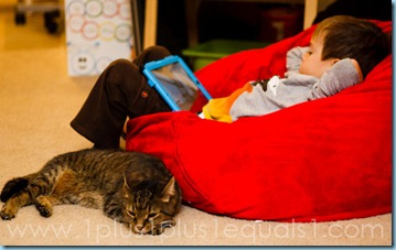 Bean Bag Chair