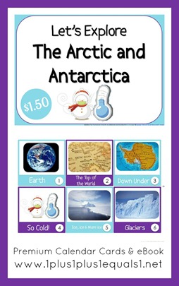 Arctic Bundle Arctic Bundle