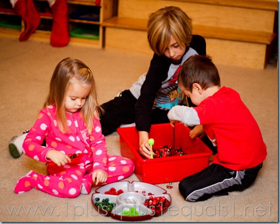 Christmas Sensory Bin-5022