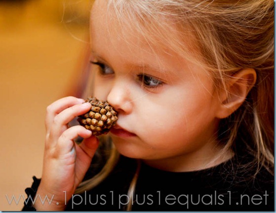 Christmas Sensory Bin-5145