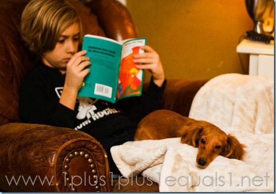 Homeschool -5179