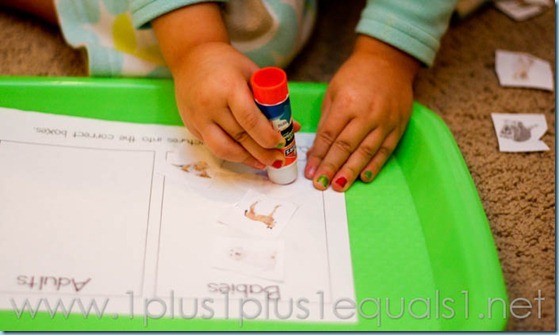 Home Preschool Letter A -8191