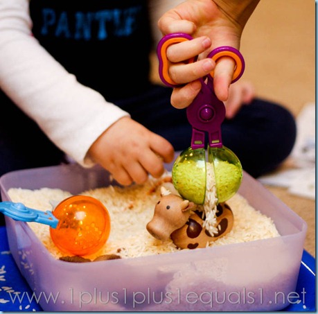 Home Preschool Letter C -8688