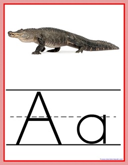 Animal ABC Wall Posters Animal ABC Wall Posters