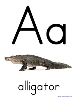 Animal ABC Wall Posters