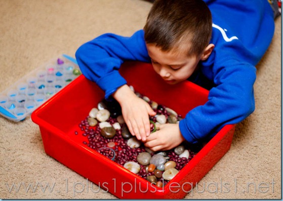 Dinosaur Theme Sensory Bin-9695