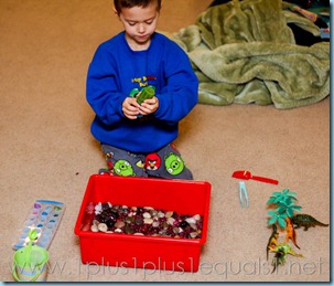 Dinosaur Theme Sensory Bin-9698